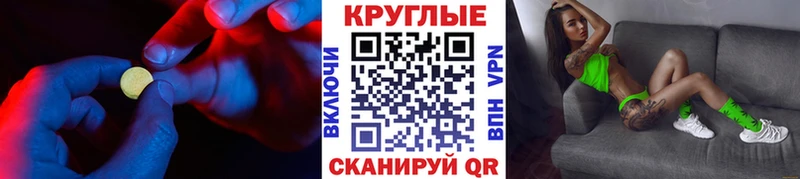 Ecstasy бентли  Анива 